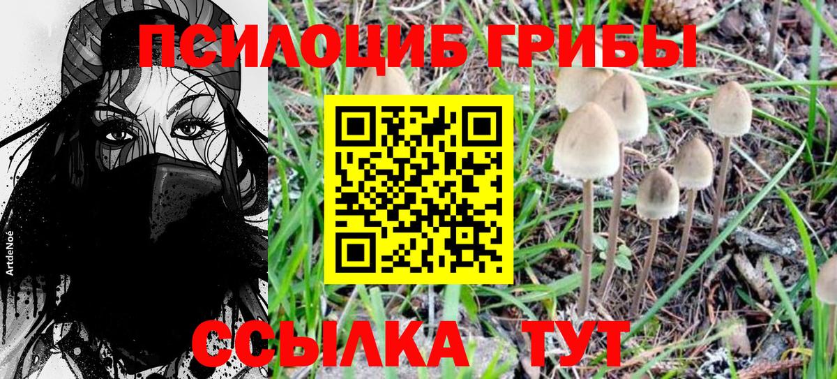 Ипатово  Псилоцибиновые грибы Magic Shrooms  Вход с VPN 